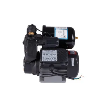 Насосная станция Thermo Alliance PZB750A 0,75 кВт