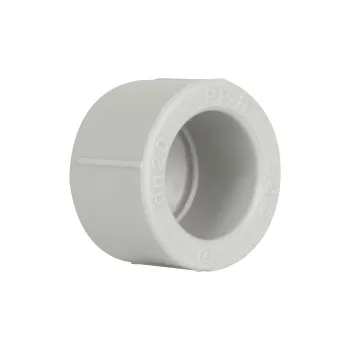 Заглушка PPR Thermo Alliance 20