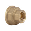 Муфта Thermo Alliance Standart 1/2