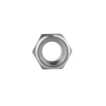 Ниппель редукционный Thermo Alliance Forte 1/2