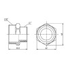 Ниппель редукционный Thermo Alliance Forte 1 1/4х1
