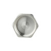 Заглушка Thermo Alliance Forte 3/4