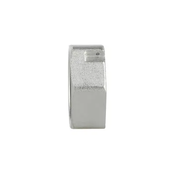 Заглушка Thermo Alliance Forte 1