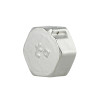 Заглушка Thermo Alliance Forte 1/2