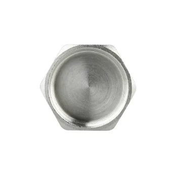 Заглушка Thermo Alliance Forte 1
