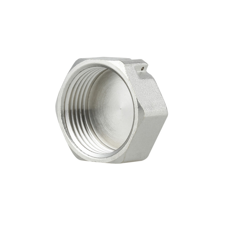 Заглушка Thermo Alliance Forte 1