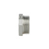 Заглушка Thermo Alliance Forte 3/4