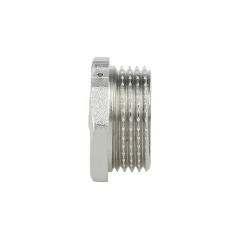 Заглушка Thermo Alliance Forte 1