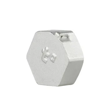 Заглушка Thermo Alliance Forte 1