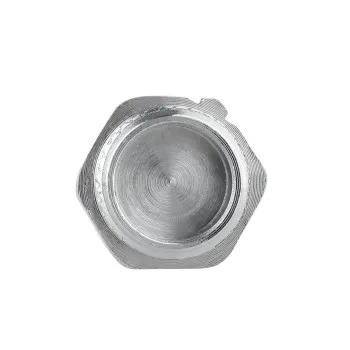 Заглушка Thermo Alliance Forte 1/2