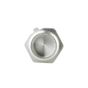 Заглушка Thermo Alliance Forte 1/2