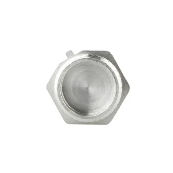 Заглушка Thermo Alliance Forte 1