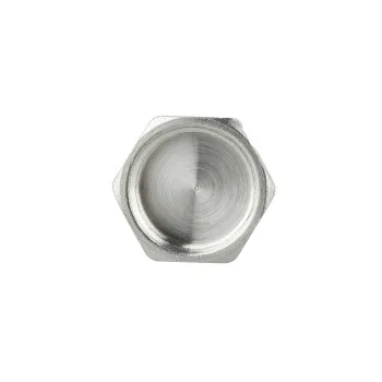Заглушка Thermo Alliance Forte 1/2