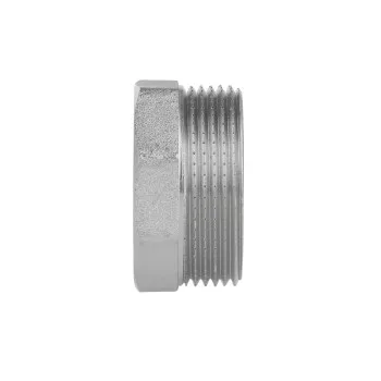 Футорка Thermo Alliance Forte 1