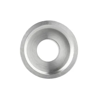 Переход Thermo Alliance Forte 1