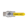 Кран шаровой Thermo Alliance Forte 1