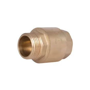 Клапан зворотний Thermo Alliance Standart 1