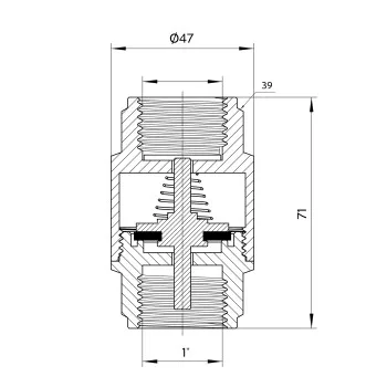 Зворотний клапан Thermo Alliance Forte 1