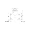 Обратный клапан Thermo Alliance Standart 2