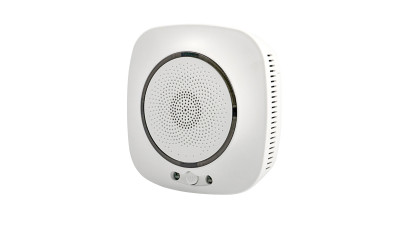 Беспроводной детектор газа с WiFi WF-GLD